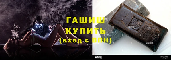 сатива Новозыбков