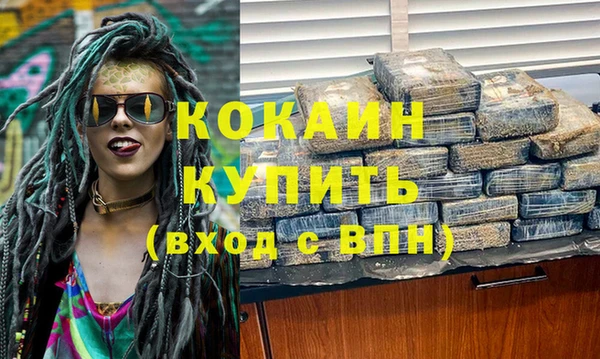дживик Новодвинск