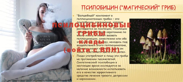 СК Заводоуковск
