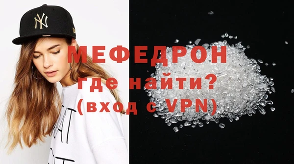 сатива Новозыбков