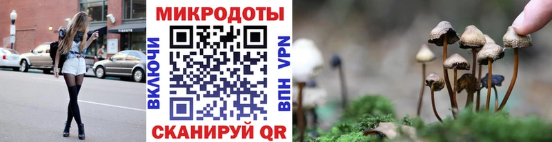 Галлюциногенные грибы Psilocybe Луза