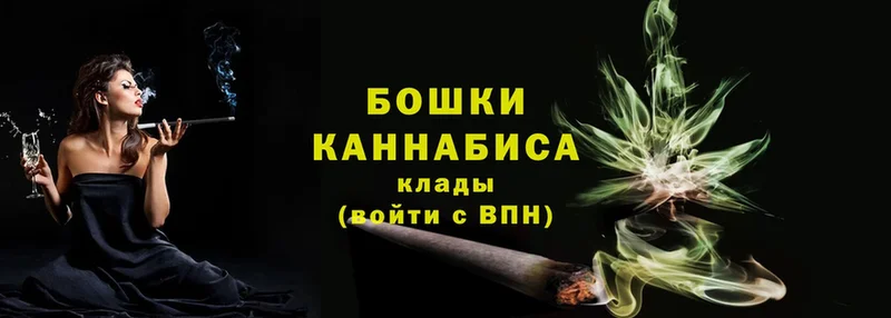 Канабис OG Kush  Луза 